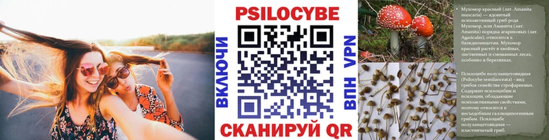 Псилоцибиновые грибы мицелий  Большой Камень 