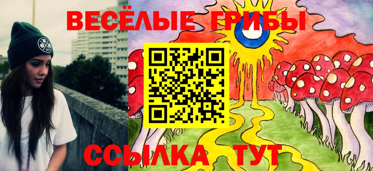 Псилоцибиновые грибы ЛСД  Галлюциногенные грибы Magic Shrooms  Большой Камень 