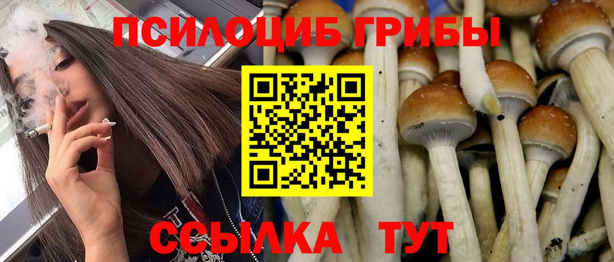 как найти закладки  Псилоцибиновые грибы MAGIC MUSHROOMS  Вход с VPN  Большой Камень 